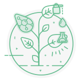 Plant biomass potential